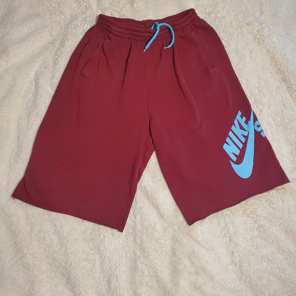 Nike SB shorts